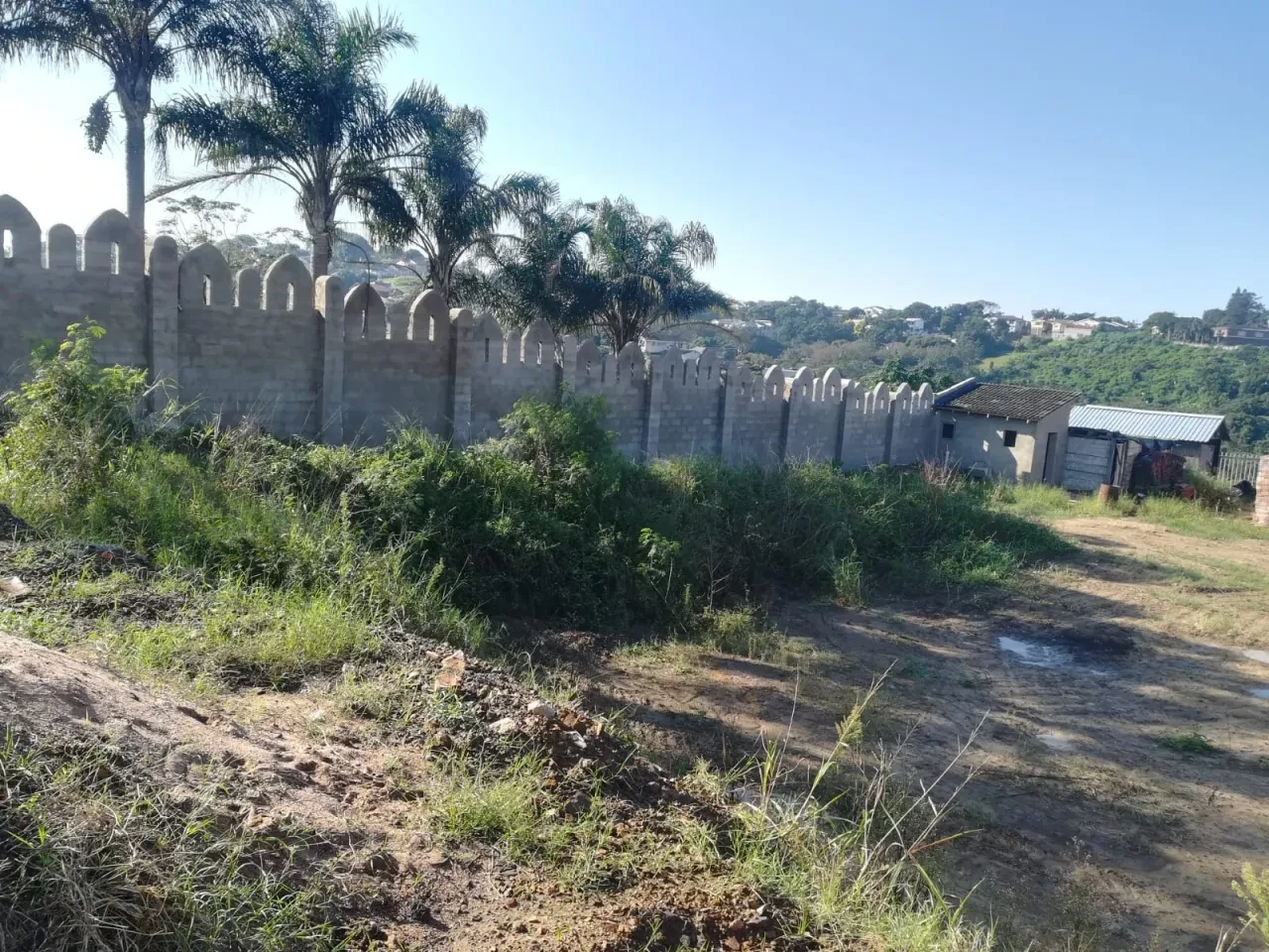Project site — crenellated perimeter wall with palm trees and Durban hillside