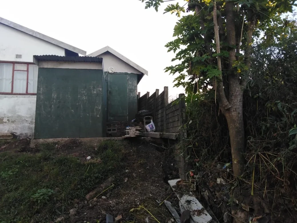 Project site — two workers excavating a manhole cover in dense overgrown vegetation