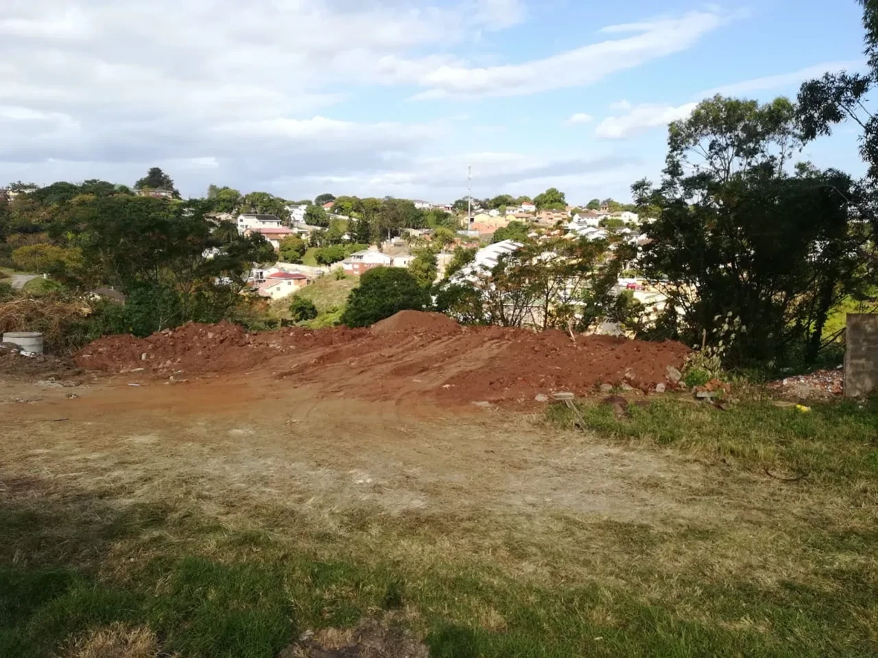 Project site — two dogs walking along dirt track through cleared land with Durban suburb in background