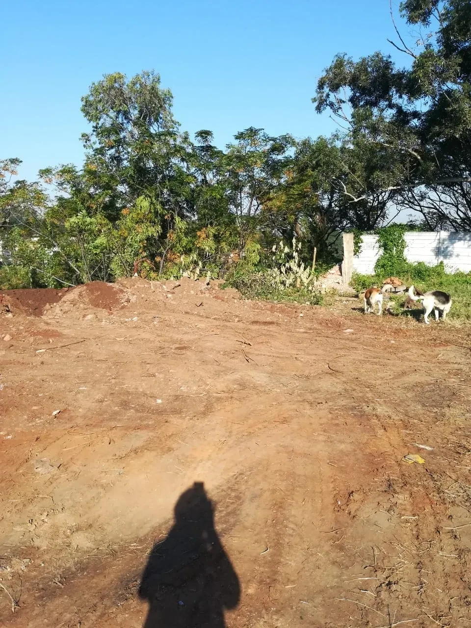 Project site — cleared hillside site with red earth mound and Durban suburb in background