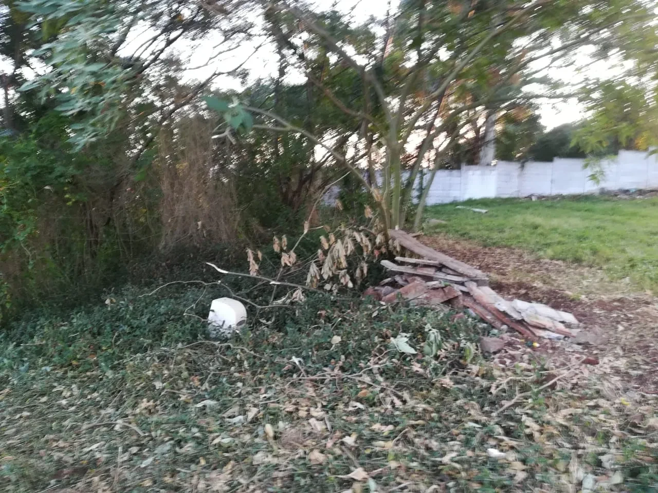 Project site — cleared land with stacked old roof tiles and brick rubble beside trees, white perimeter wall visible behind