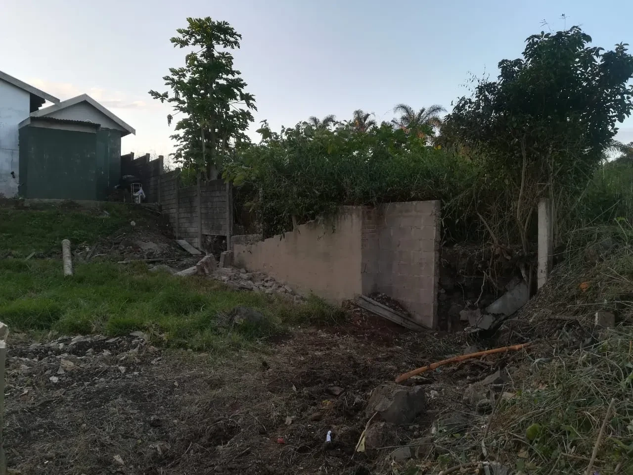 Project site — partially demolished concrete block boundary wall with green shed and palm trees, cleared rubble in foreground
