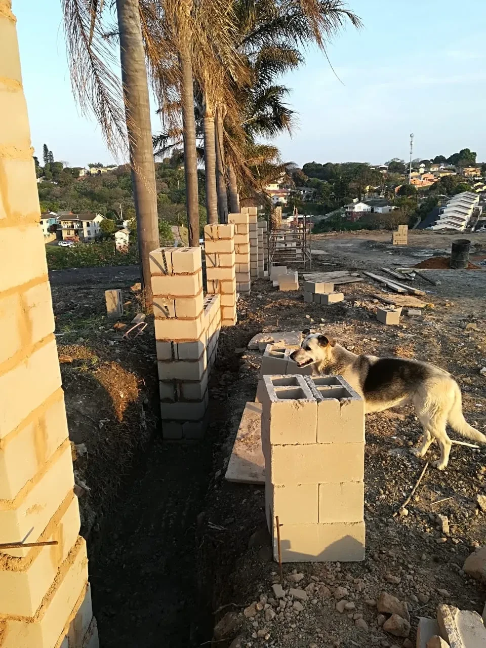 Project site — brick perimeter wall along road with palm trees