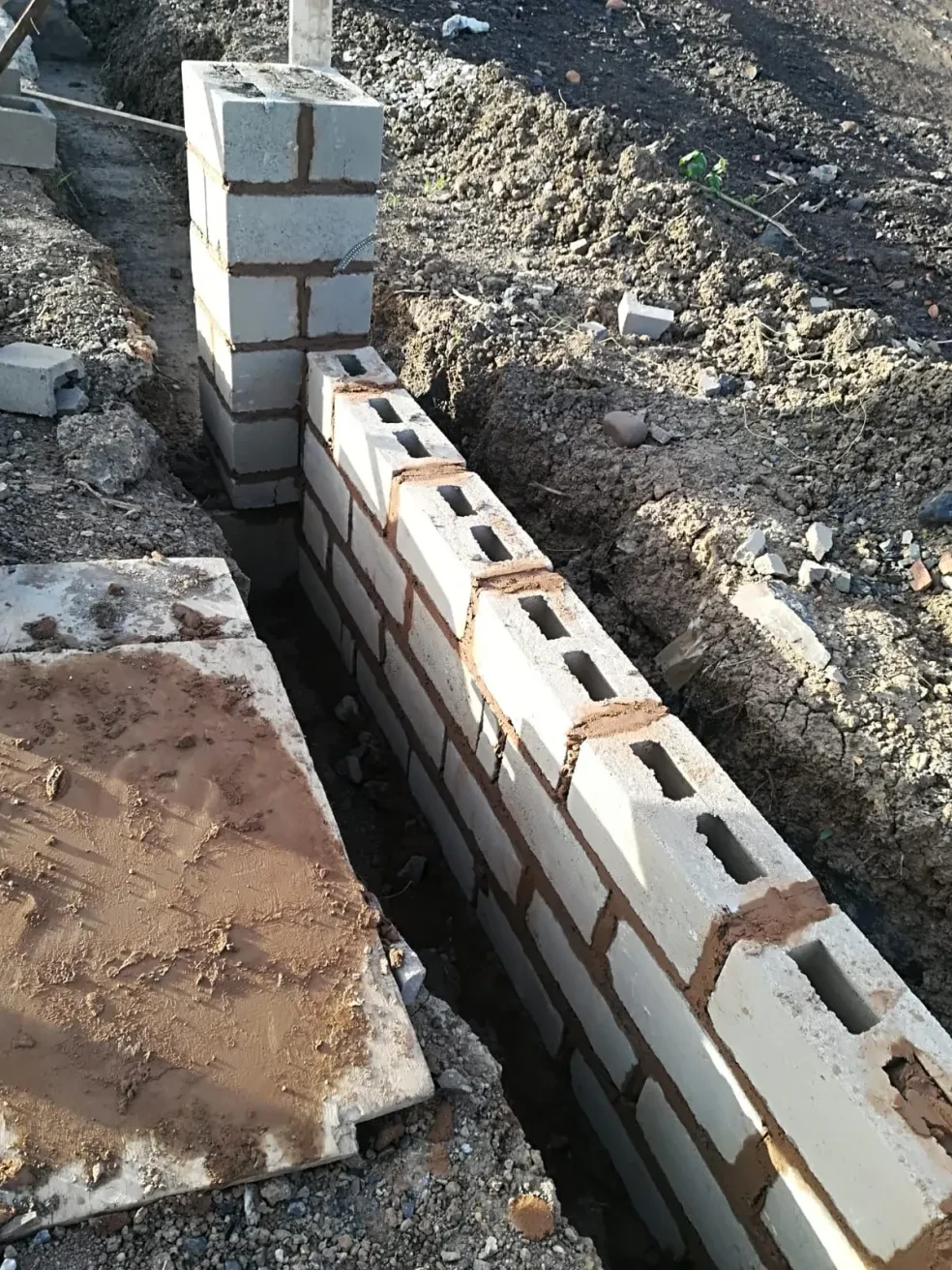 Project site — concrete block columns with dog and palm trees