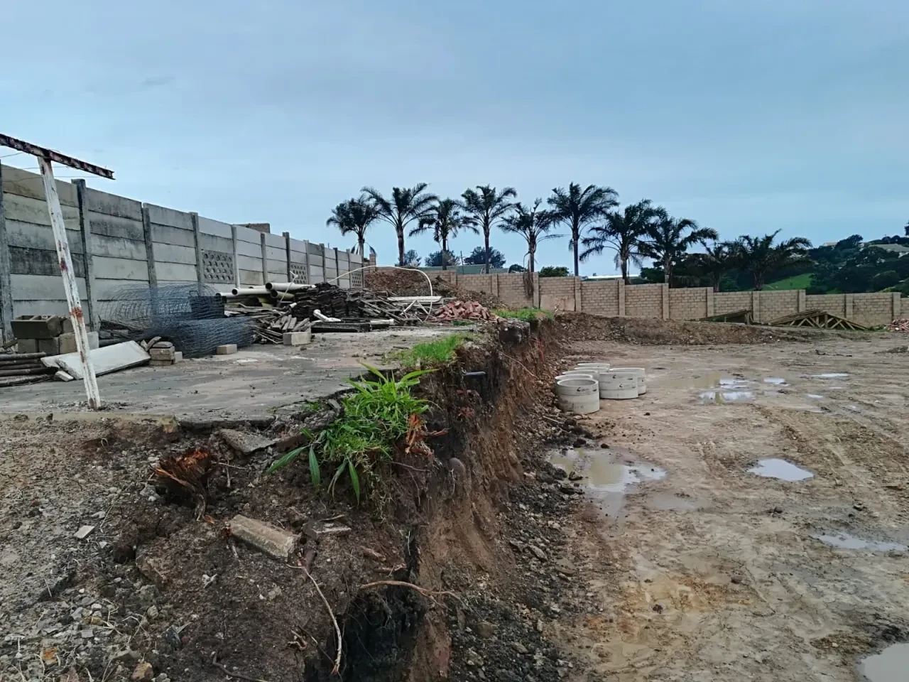 Project site — construction site with palm trees and fencing
